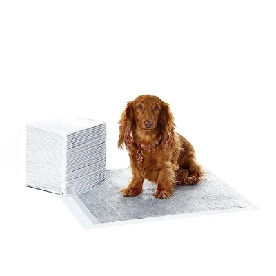 Image of Amazon Basics Carbon Odour Control Dog and Puppy Training Pads, Leakproof with Quick Dry Surface, Regular (40 Count), Grey