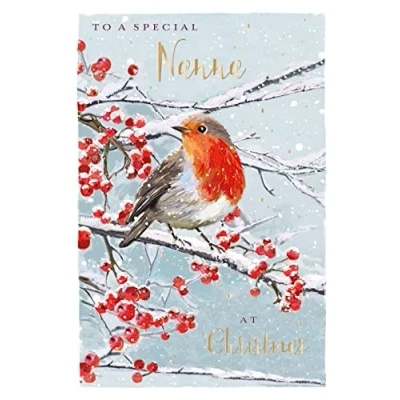 Image of For A Special Nanna Festive Winter Robin Christmas Card Xmas Greeting Cards X14854GH