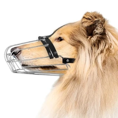 Image of BRONZEDOG Dog Muzzle Wire Basket Metal Mask for Medium Large Dogs (Size 8: Greyhound &amp; Collie)