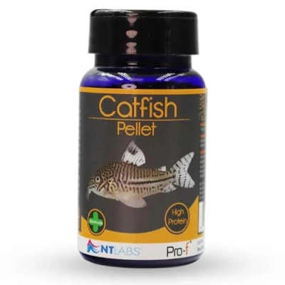 Image of NT Labs Pro f Catfish Pellet, Freshwater Food, Aquarium Fish Feed, Quick Sinking Nutritious SIZE (60 gm)