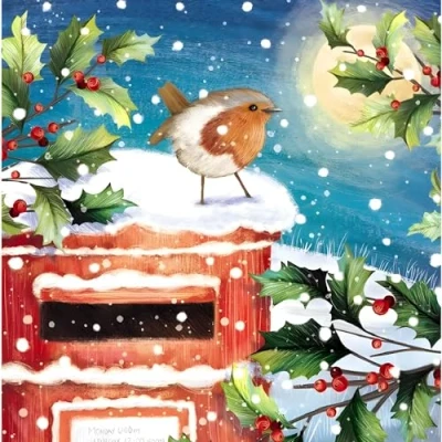 Image of GBCC Charity Christmas Cards Pack of 10 with Robin and Post Box Design Eco Friendly Xmas Multipack Envelopes