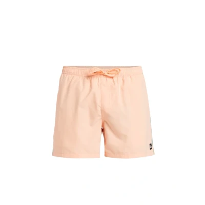Image of Quiksilver Everyday Beach Swimming shorts, Men&#039;s, Size: XL, Mef0