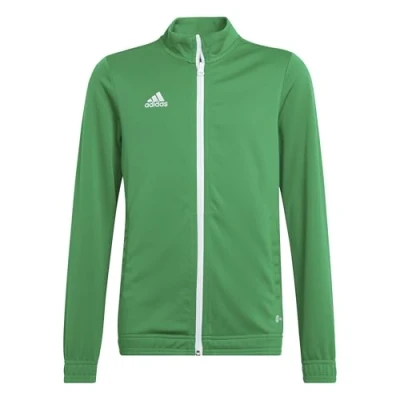Image of adidas Performance Entrada 22 Track Training jacket for kids, Size: 7 8y, Gruenweiss