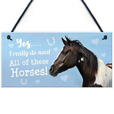 Image of RED OCEAN Funny Horse Lover Gift Sign Hanging Stable Door Home Wall Plaque