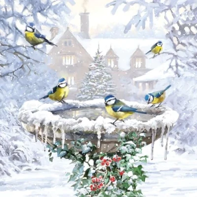 Image of GBCC Charity Christmas Cards Pack of 10 with Garden Birds Birdbath Design Eco Friendly Xmas Multipack Envelopes