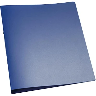 Image of Q Connect 2 Ring Binder Frosted A4 Blue (Frosted polypropylene covers with 25mm capacity) KF02483