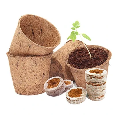 Image of COIR PRODUCTS GROWING PACK 10CM POTS X 50 &amp; 42MM COINS