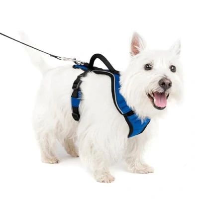 Image of PetSafe EasySport Harness, Walking Harness for Dogs, Adjustable, Padded, Small Blue