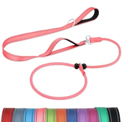 Image of Joytale Tangle Free Slip Lead for Dogs, 1.8m with Double Padded Handle, Anti Pull Training Leash Puppy Small Medium Dogs(6 18 KG), Pink