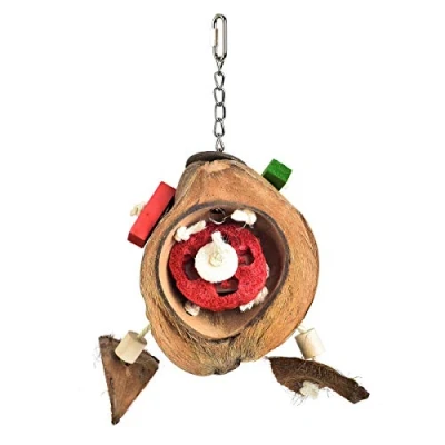 Image of Coconut Slice Large Natural Chew &amp; Forage Parrot Toy