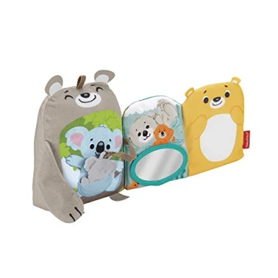 Image of Fisher Price Sit &amp; Snuggle Activity Book, Plush Animal Toy and Soft Book with Mirror, Teether, Sensory Activities for Babies Ages 3 Months+, GJD37