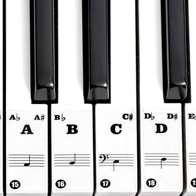 Image of Piano Stickers, Transparent High adhesive Removable Keyboard Stickers Notes Labels for 61/88 Key Electronic Pianos Kids Beginner Instrument Accessory(Black)