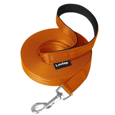 Image of Loutep Training Lead for Dogs 3m 5m 10m 15m 20m 25m 30m Strong Nylon Rope Extra Long Line Dog Leash with Padded Handle Large Medium Small Puppy Recall Pet Walking Obedience Outdoor Play