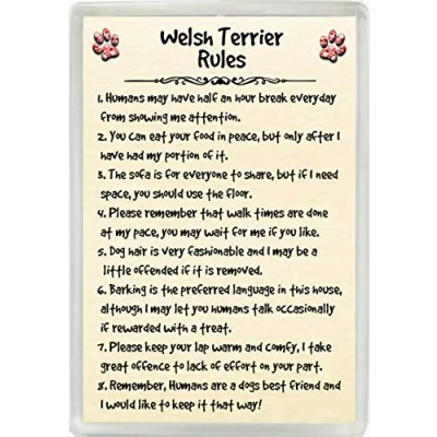 Image of Welsh Terrier Rules Humour Jumbo Fridge Magnet Ideal Dog Lover Birthday Gift M143