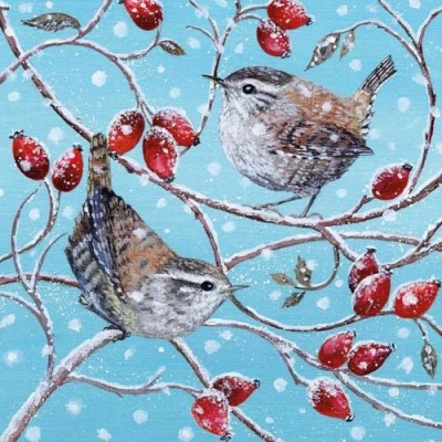 Image of Museums &amp; Galleries Pack of 8 Artistic Charity Christmas Cards Wren and Rosehips Lovely Illustration a Winter Scene by Lucy Grossmith 1 Design