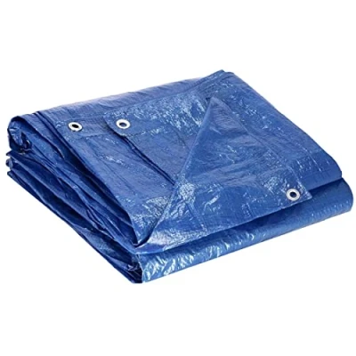 Image of Tarpaulin Ground Sheet Cover Up with Eyelets (50 GSM Blue, 2 x 3 m)