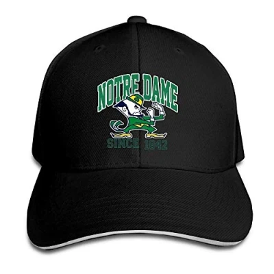 Image of Notre Dame Fighting Irish ND Teams Logo Flex Baseball Cap Ash Black
