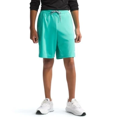 Image of THE NORTH FACE Never Stop Shorts Geyser Aqua 170