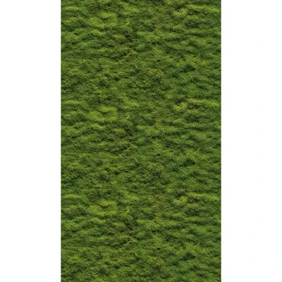 Image of Stories of Life Mural Green Moss 398391