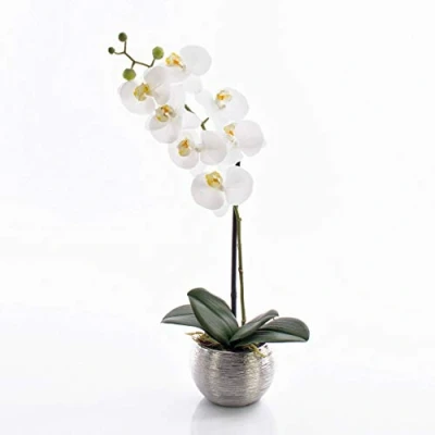 Image of artplants.de Artificial Orchid Phalaenopsis EMILIA, white, potted, 20&quot;/50cm orchid/Silk flower