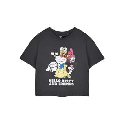 Image of Hello Kitty &amp; Friends Grey Cropped Short Sleeved T Shirt Womens Graphic Tee Cute Sanrio Characters Top