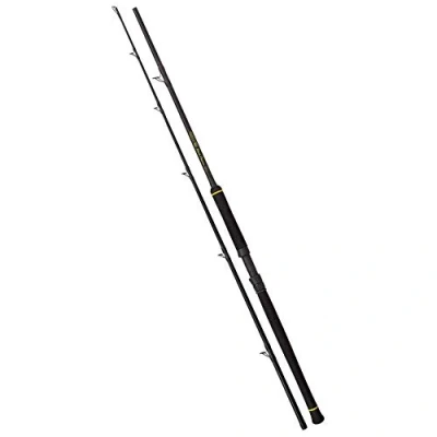 Image of Blackcat Cat 2.40 m Black Passion Boat 600 g
