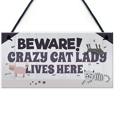 Image of RED OCEAN Funny CRAZY CAT LADY Hanging Plaque Animal Lover Sign Cute Cats Home Decor Door Gift