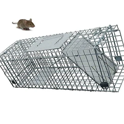 Image of Defenders Rat and Squirrel Cage Trap, Humane Trap Live Mouse Large for Indoors Outdoors (Easy to Bait Set, Long Lasting Galvanised Mesh)