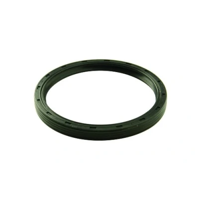 Image of Ford Racing M 6701 B302 Rear Main Seal for 5.0L Engine