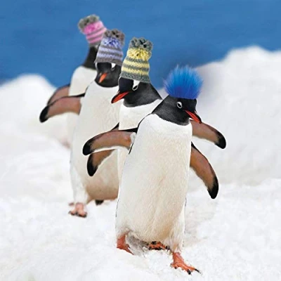 Image of Christmas Card Dancing Penguins In Hats Fluffy Textured Finish