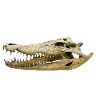 Image of Nobby Crocodile Skull Aquarium Ornaments, 47.5 x 20.5 16 cm