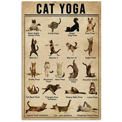 Image of BCTS Cat Yoga Funny Poster Art Print Decor For Men Women Garage Wall Home Birthday Gift Metal Signs 12X16 inch