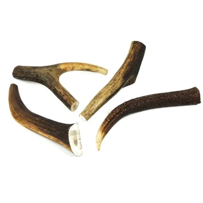 Image of Natural Deer Antler Dog Chew Large, 5 Inches (13cm), 100 150g Long Lasting, All Dental for Large Dogs Promotes Healthy Teeth and Gums