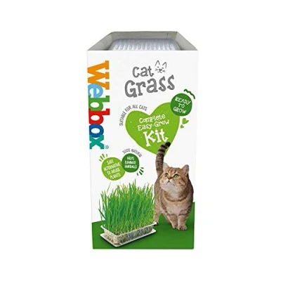 Image of Webbox Cat Grass Kit 120g