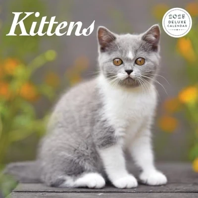 Image of Kitten 2025 Deluxe Calendar