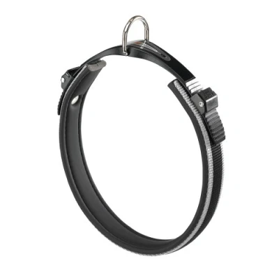 Image of Ferplast Dog Collar ERGOCOMFORT, for Large Size Dogs, Closure with Micro adjustment, Soft Padding, Quick Release, Silver