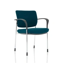 Image of Brunswick Deluxe Chrome Frame Bespoke Back Seat Teal With Arms