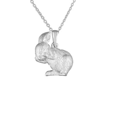Image of Sterling Silver Lucky Bunny Rabbit Pendant Necklace