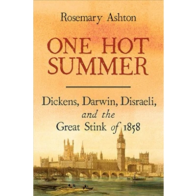 Image of One Hot Summer: Dickens, Darwin, Disraeli, and the Great Stink of 1858