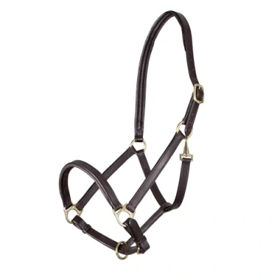 Image of Shires Ragley Lined Leather Headcollar Cob Black