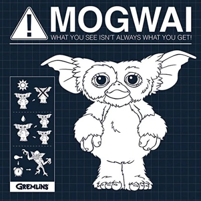 Image of Gremlins Mogwai Rules 40 x 40cm Canvas Prints, Polyester, Multi Colour, 40x40x3.2 cm