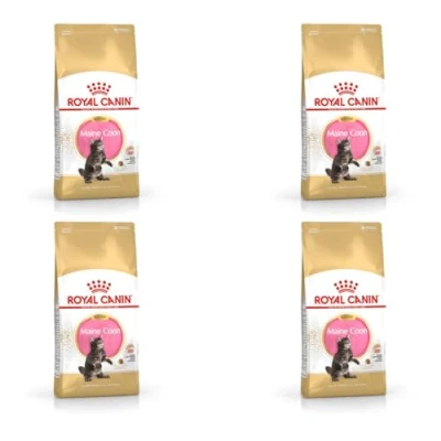 Image of Royal Canin Maine Coon Kitten Dry Food, 400g