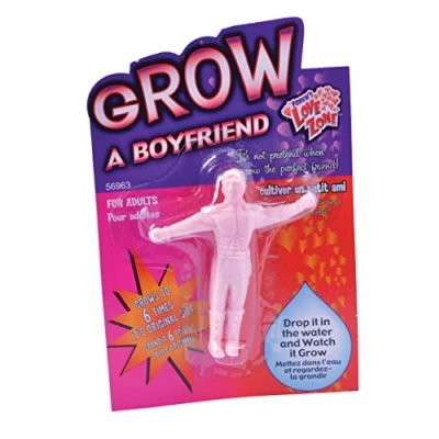 Image of WPN Fun Jokes, Pranks, Stocking Fillers, Gifts &amp; Novelties (Grow a Boyfriend)