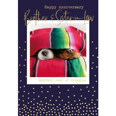 Image of Abacus Cards &#039;Brother &amp; Sister in Law&#039; Wedding Anniversary Card Sleeping Dogs Polaroid with Foil Detail Eco Friendly Recyclable