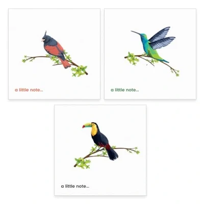 Image of Papa Prints Pack of 12 Notelets and Envelopes Sets (145 x 150 mm) Blank Cards Note Set with Card