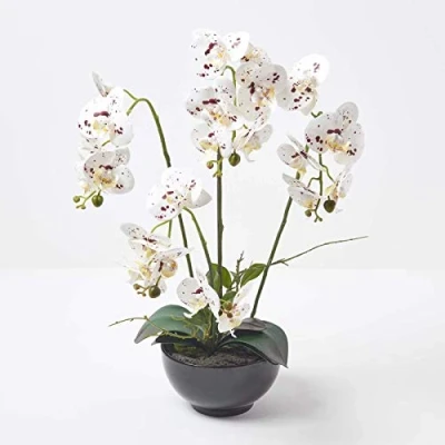 Image of HOMESCAPES Artificial White Orchid In Pot 62 cm Tall Lifelike Faux Plant Black Ceramic Bowl with Real Touch Silk Flowers and Green Leaves Phalaenopsis Flower for Indoor Decoration