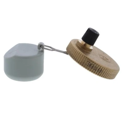 Image of Ariston Automatic Air Vent Plus O ring 998643