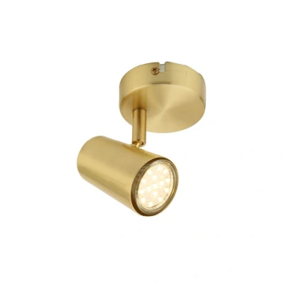 Image of Inlight Harvey Adjustable Ceiling Spotlight Satin Brass