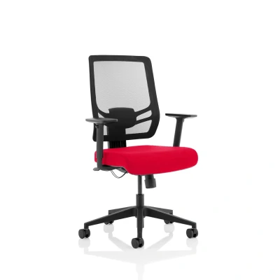 Image of Ergo Twist Bespoke Fabric Seat Bergamot Cherry Mesh Back