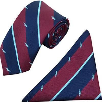 Image of RAF Wings Regimental Tie &amp; Hanky Set